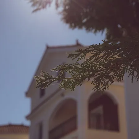 Erietta 4* Tsilivi (Zakynthos)